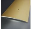 Šampanský Matný, Prechodový profil vŕtaný 100x6 mm, dĺžka 270 cm